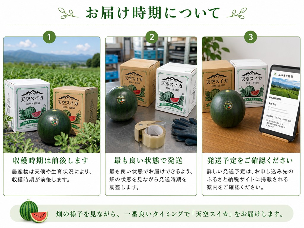畑で育つ波田産スイカ